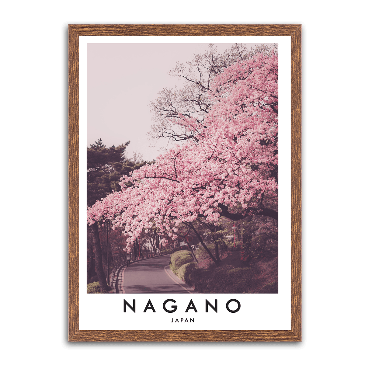 Nagano Blossom Path - PixMagic